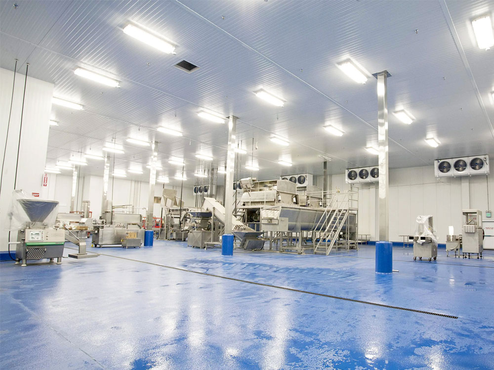 潔凈車間頂部照明：選對燈具，守護微塵禁區(qū)